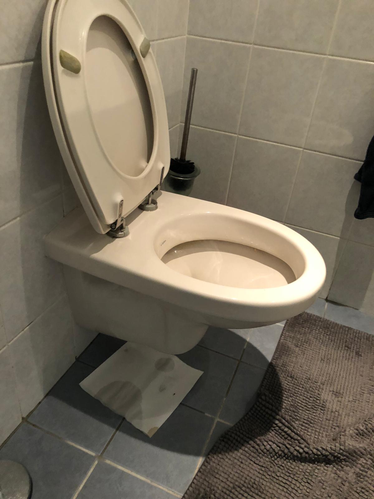 hangtoilet Vlaardingen